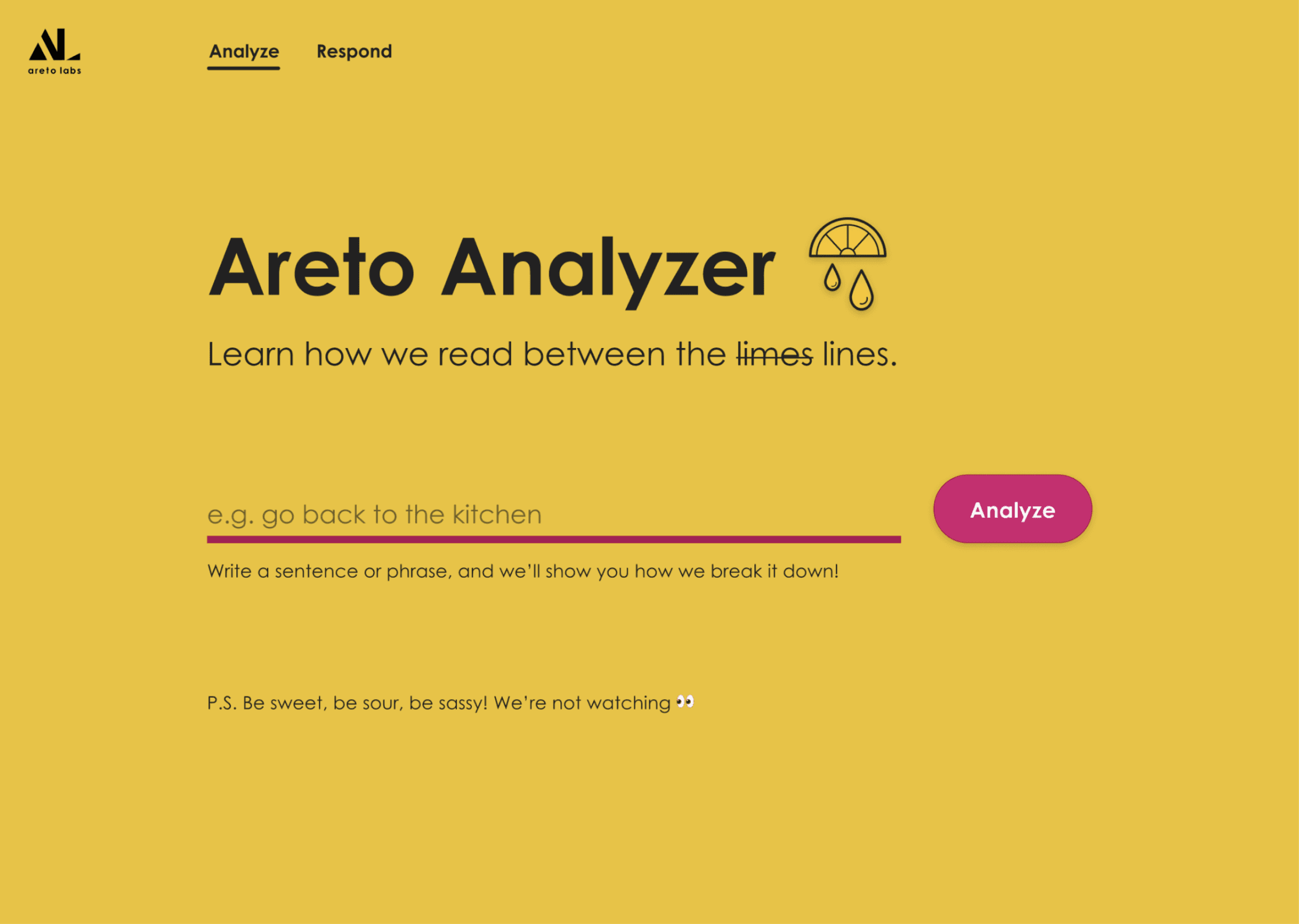 Analyzer screenshot
