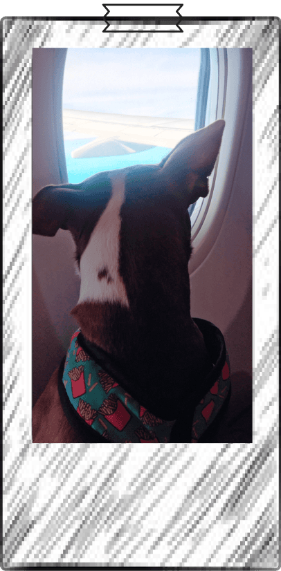 Coco polaroid